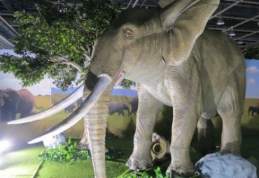 景区园林摆放玻璃钢仿真大象动物雕塑