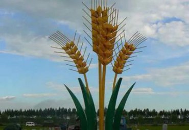 园林农场不锈钢创意仿真麦穗景观雕塑