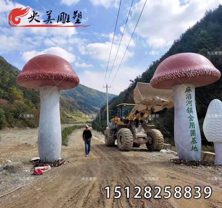 1 1